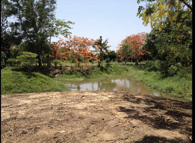 ขายที่ดินเปล่า ทำเลทอง โครงการเวียงพิงค์วิลล่า อ.ดอยสะเก็ด จ.เชียงใหม่ 