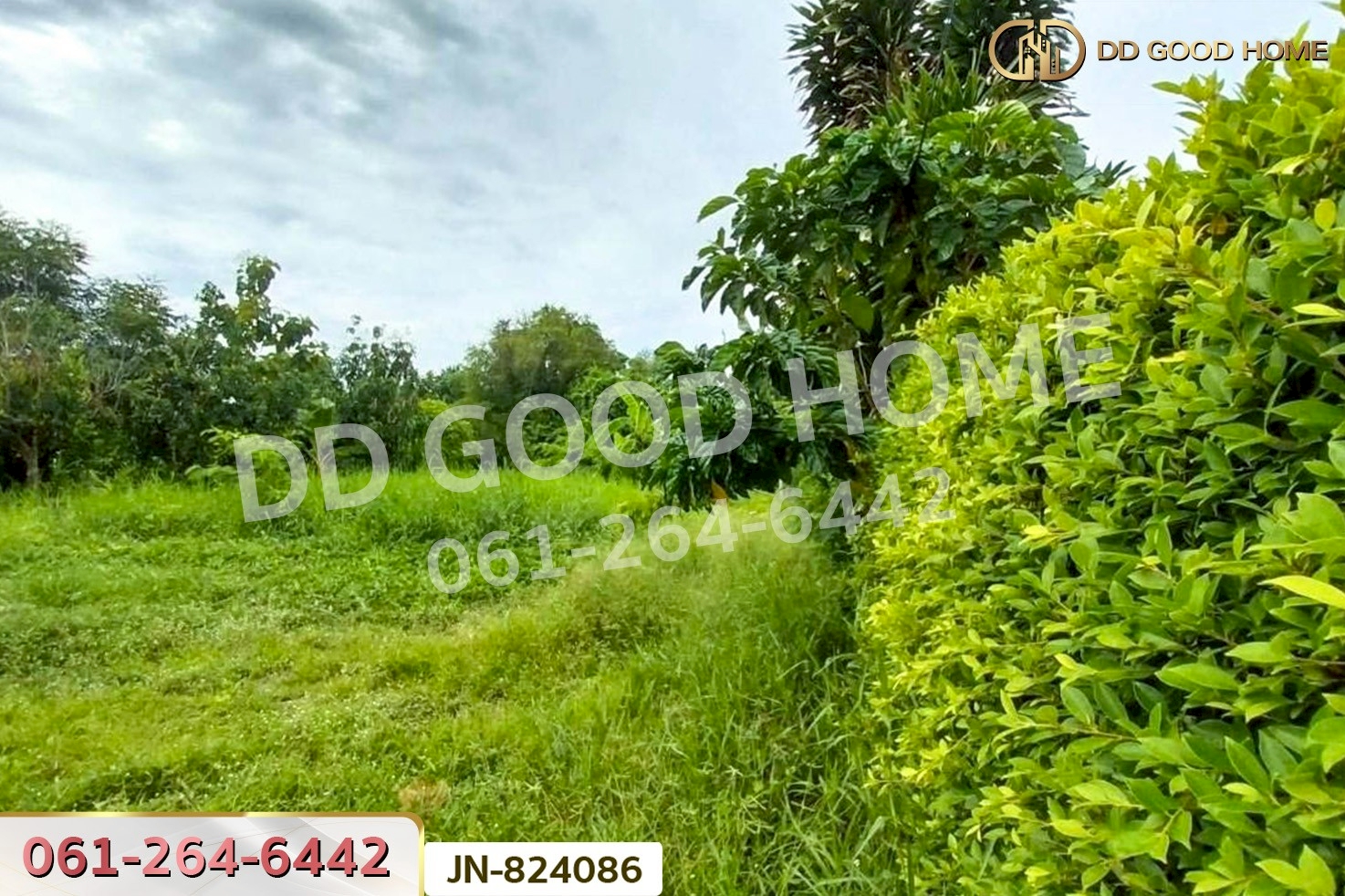 JN-824086 ที่ดินหนองแขม 124 ตร.ว. ซ.เพชรเกษม 79 แยก 9 ใกล้เดอะมอลล์ บางแค