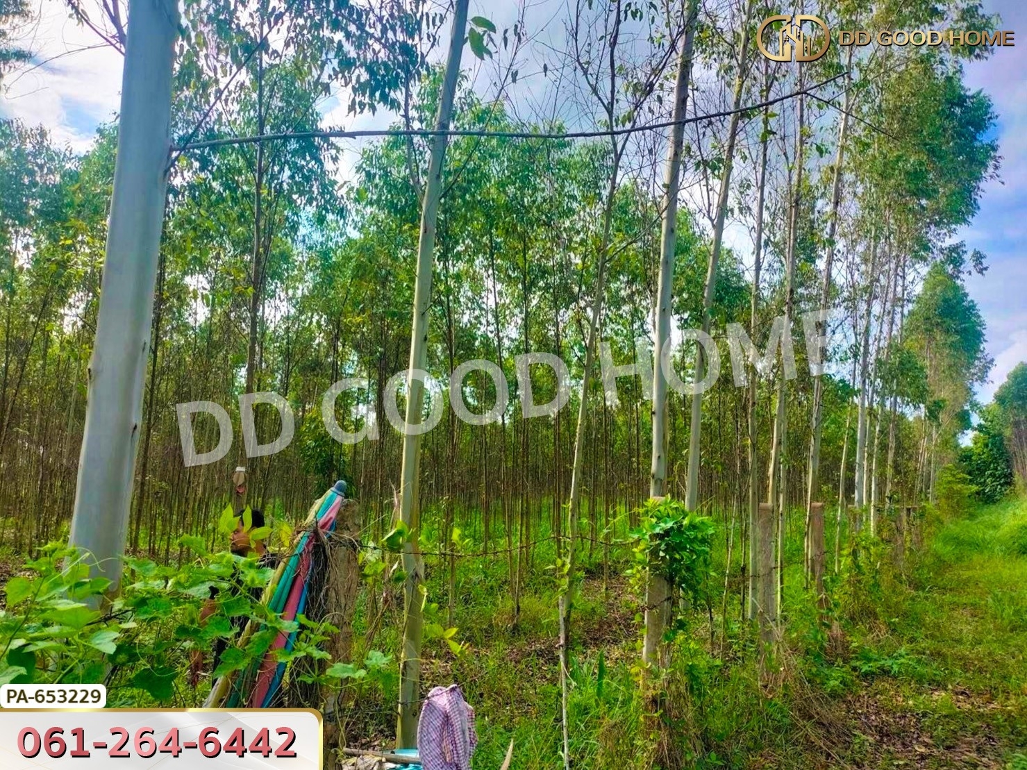 ที่ดิน เมืองสระแก้ว 14 ไร่ 309.6 ตร.ว. ใกล้วัดบ้านเนินผาสุก