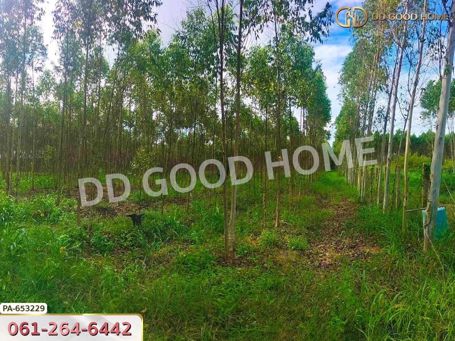 ที่ดิน เมืองสระแก้ว 14 ไร่ 309.6 ตร.ว. ใกล้วัดบ้านเนินผาสุก