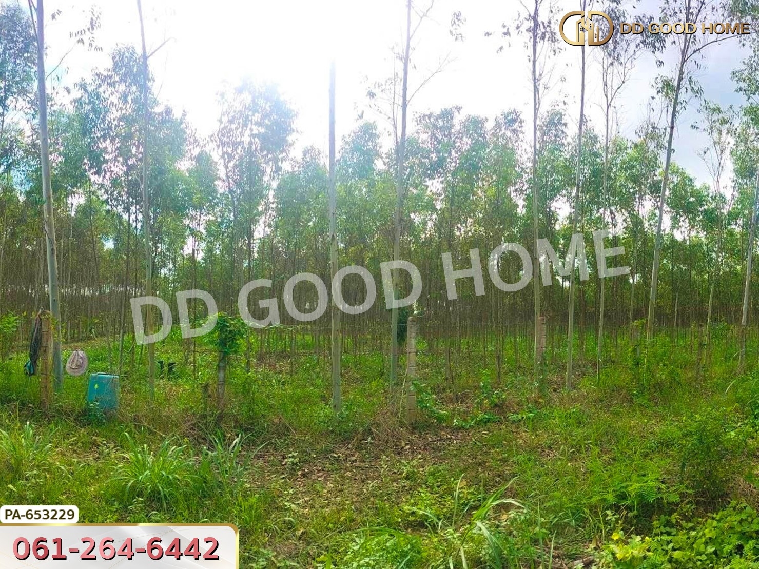 ที่ดิน เมืองสระแก้ว 14 ไร่ 309.6 ตร.ว. ใกล้วัดบ้านเนินผาสุก