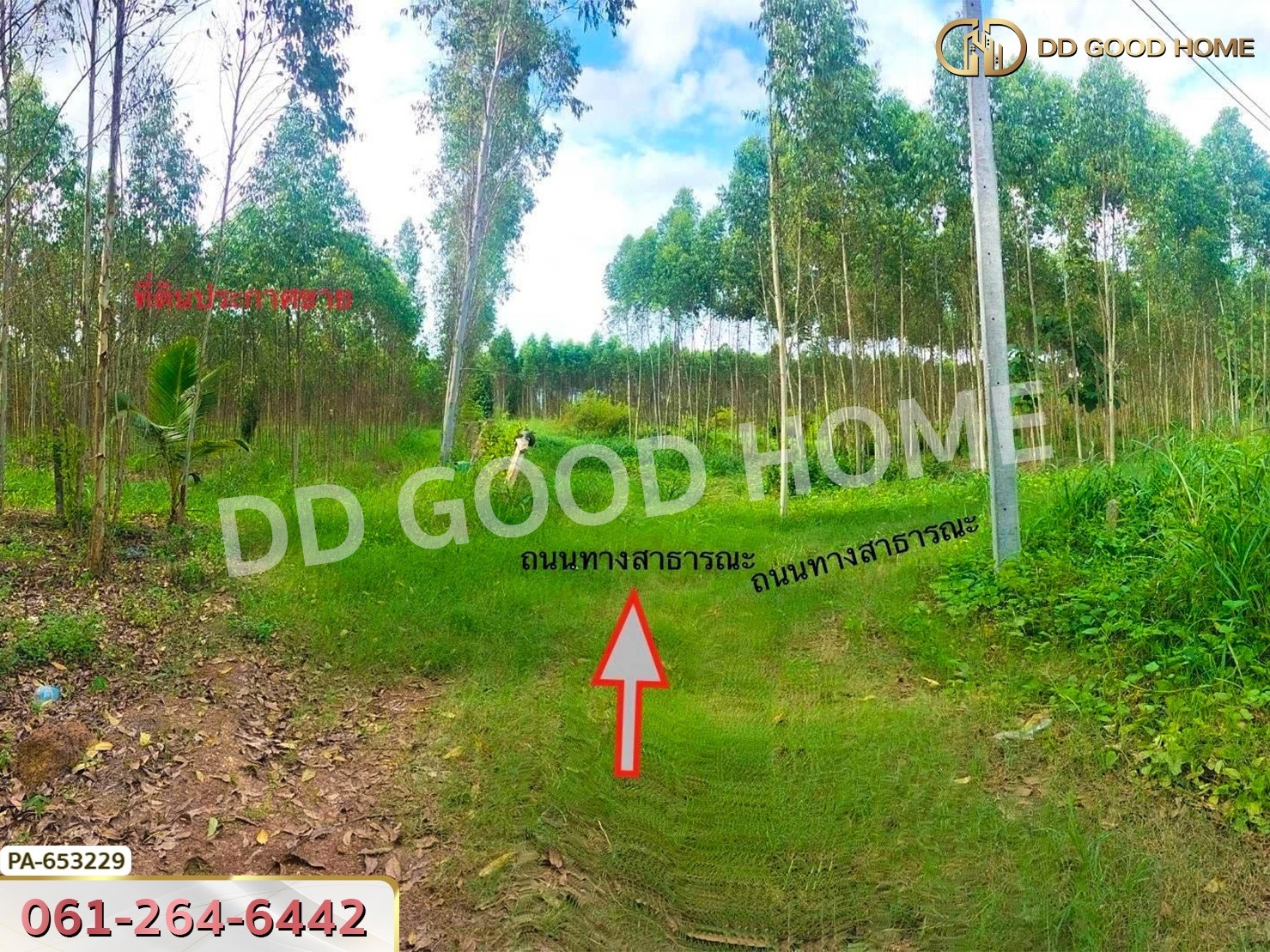 ที่ดิน เมืองสระแก้ว 14 ไร่ 309.6 ตร.ว. ใกล้วัดบ้านเนินผาสุก