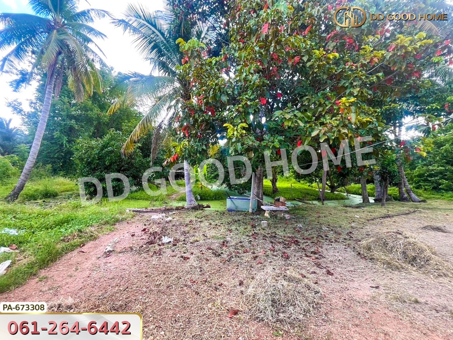 ที่ดิน โพธาราม ราชบุรี 3 ไร่ 129 ตร.ว. ใกล้วัดเขาช่องพราน