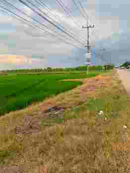 ขายที่ดิน ทำเลดี คลอง 8 ฝั่งตะวันออก อำเภอลำลูกกา จังหวัดปทุมธานี (เจ้าของขายเอง)