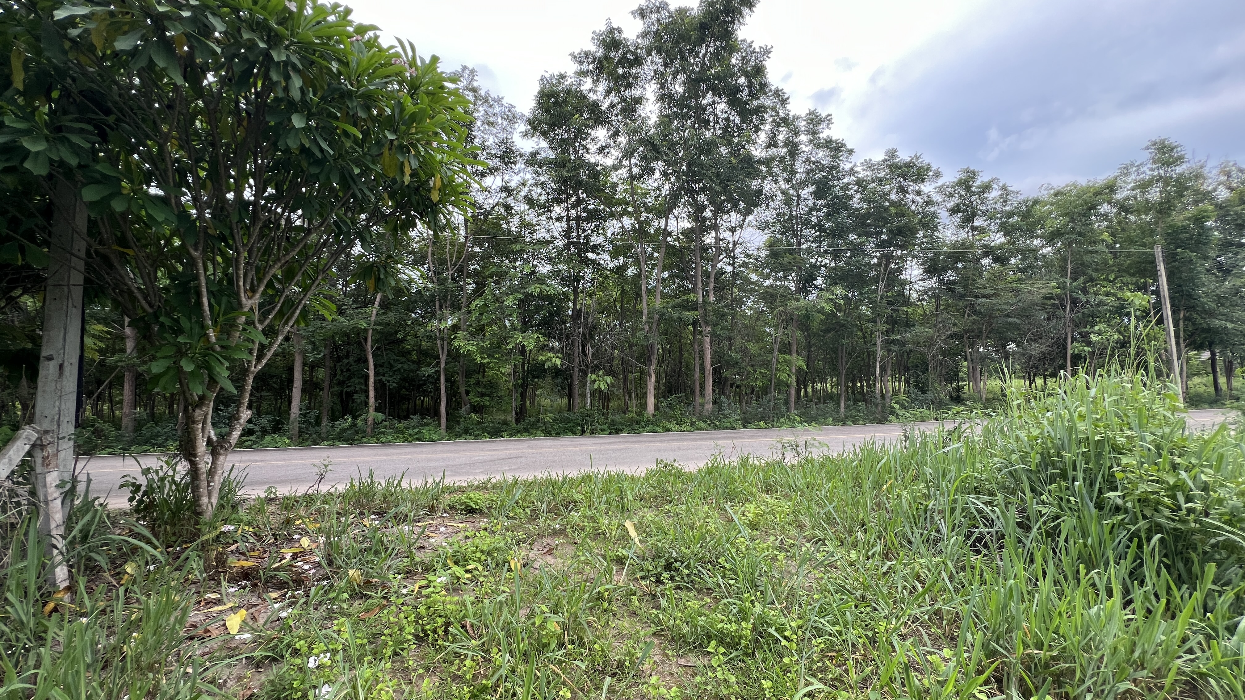 ขายที่ดิน อ.สวนผึ้ง จ.ราชบุรี ใกล้วัดหนองหมี ต.ท่าเคย 10-1-67 ตร.ว.