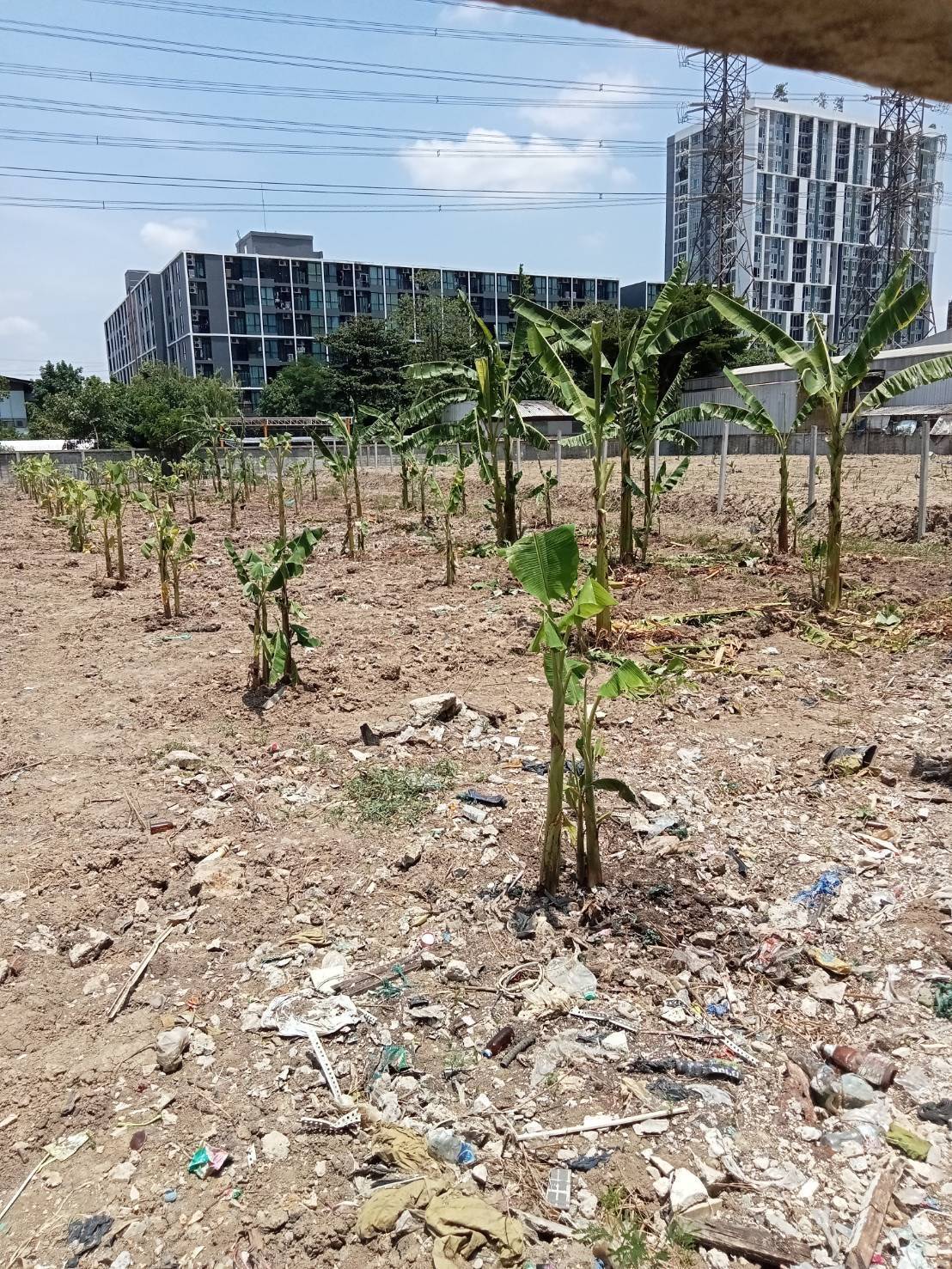 ขายที่ดินทำเลทอง บนถนนแจ้งวัฒนะ 