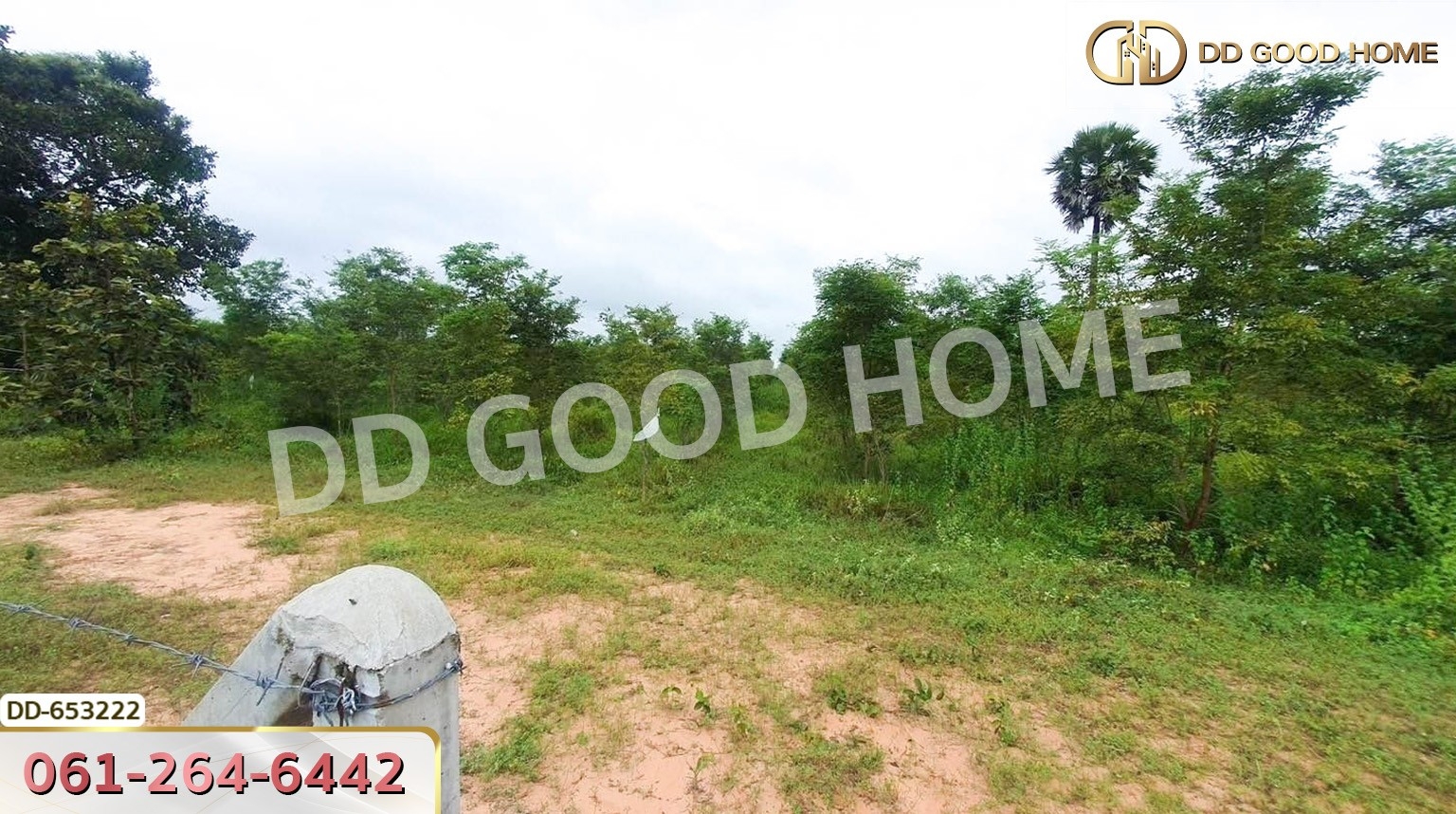 ที่ดินวังหิน 7 ไร่ 389 ตร.ว. ศรีสะเกษ ใกล้วัดป่าดู่ วังหิน