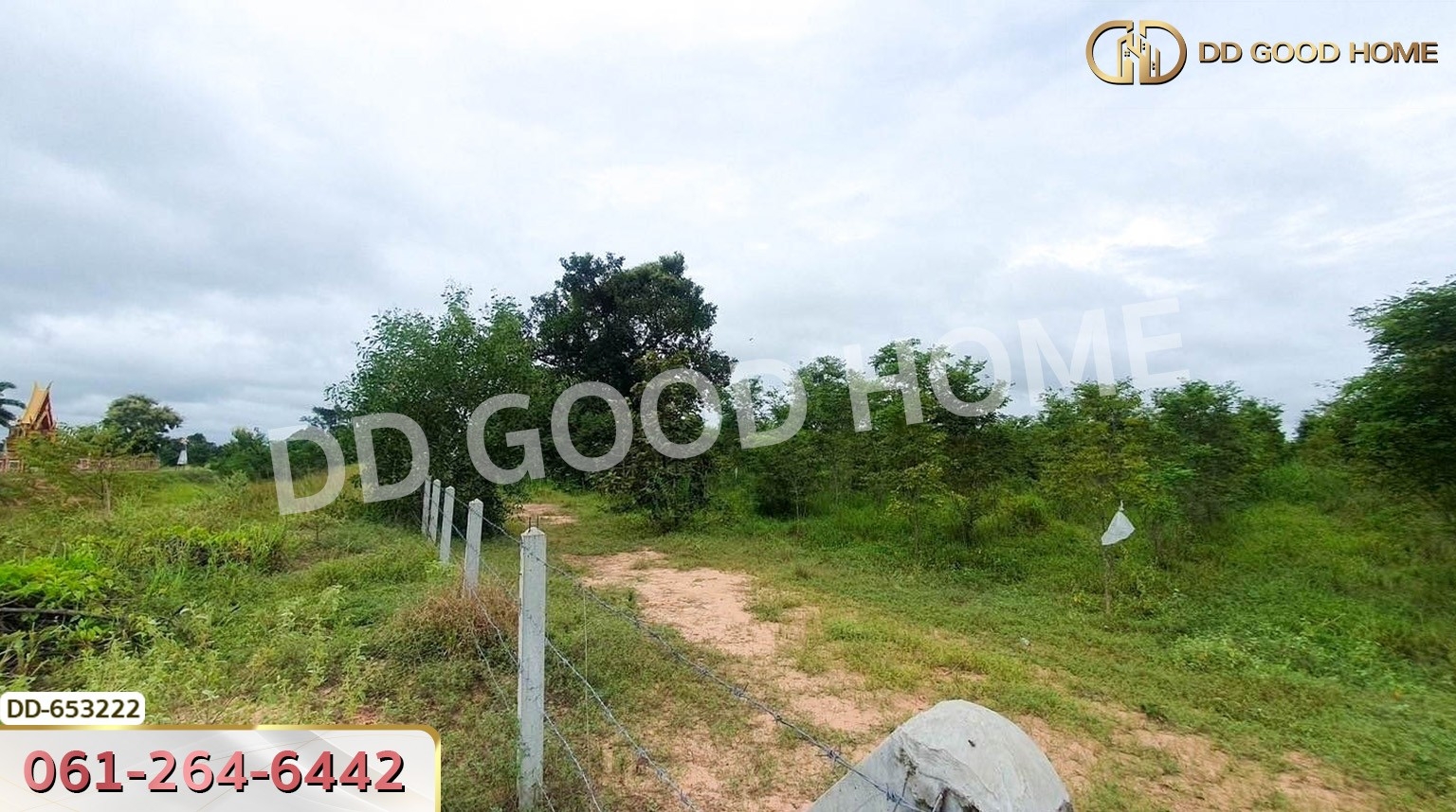 ที่ดินวังหิน 7 ไร่ 389 ตร.ว. ศรีสะเกษ ใกล้วัดป่าดู่ วังหิน