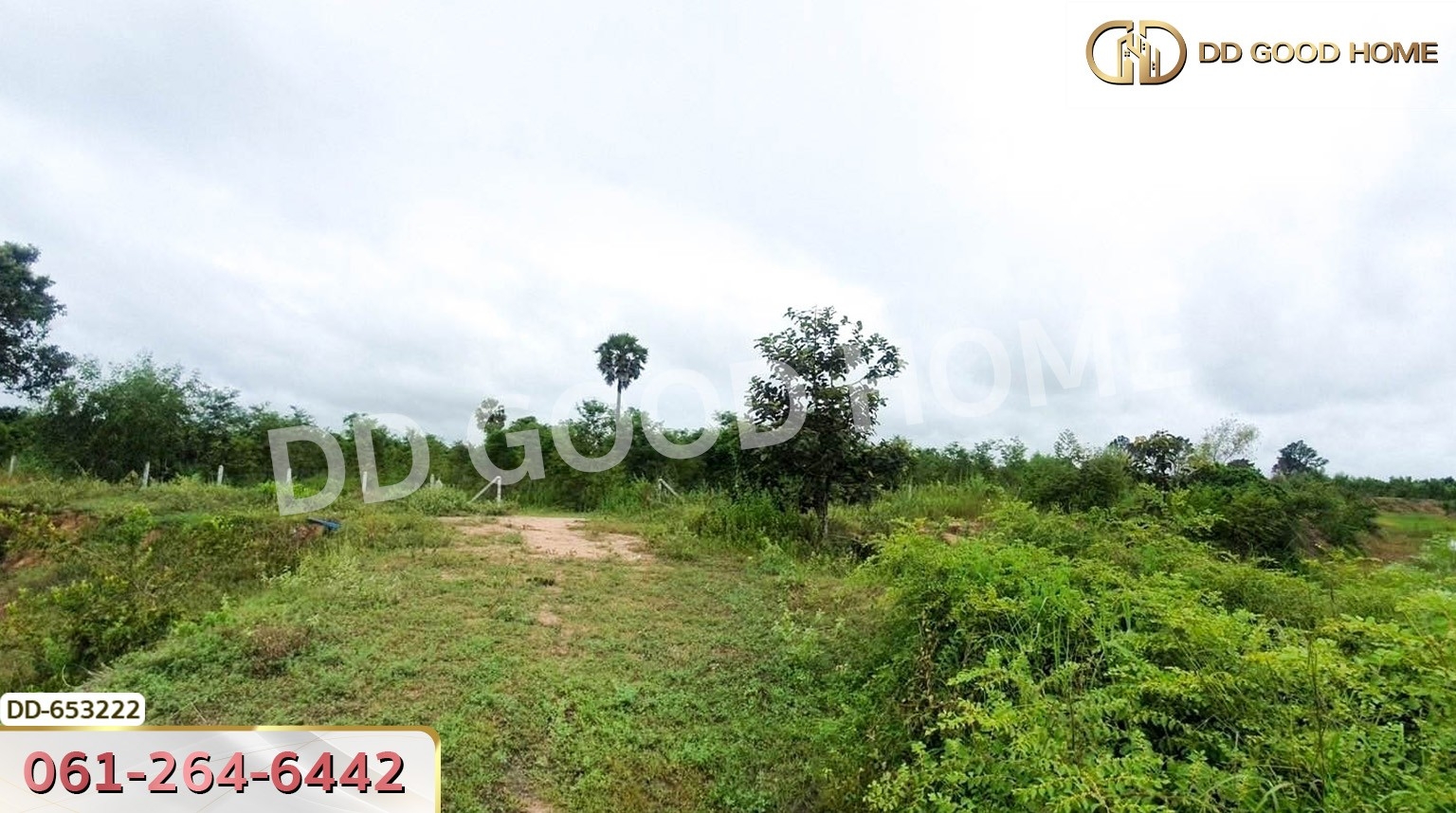 ที่ดินวังหิน 7 ไร่ 389 ตร.ว. ศรีสะเกษ ใกล้วัดป่าดู่ วังหิน