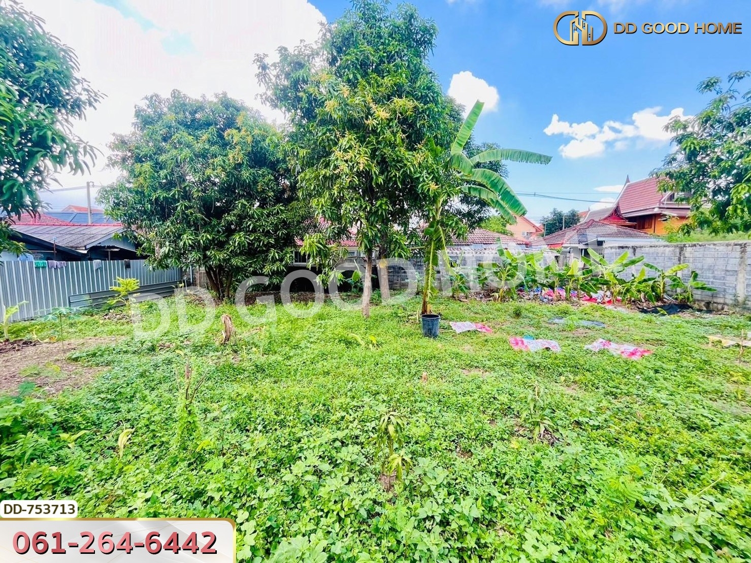 ที่ดินลำลูกกา 100 ตร.ว. ปทุมธานี ใกล้ตลาดเอซี (เช่า)