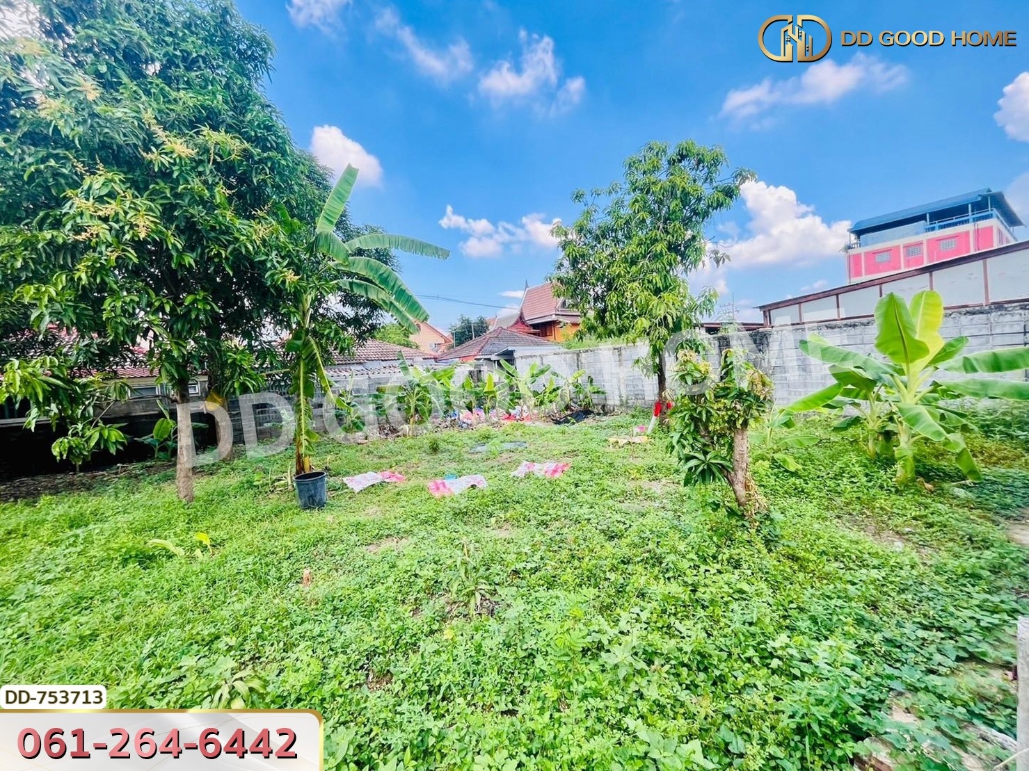 ที่ดินลำลูกกา 100 ตร.ว. ปทุมธานี ใกล้ตลาดเอซี (เช่า)