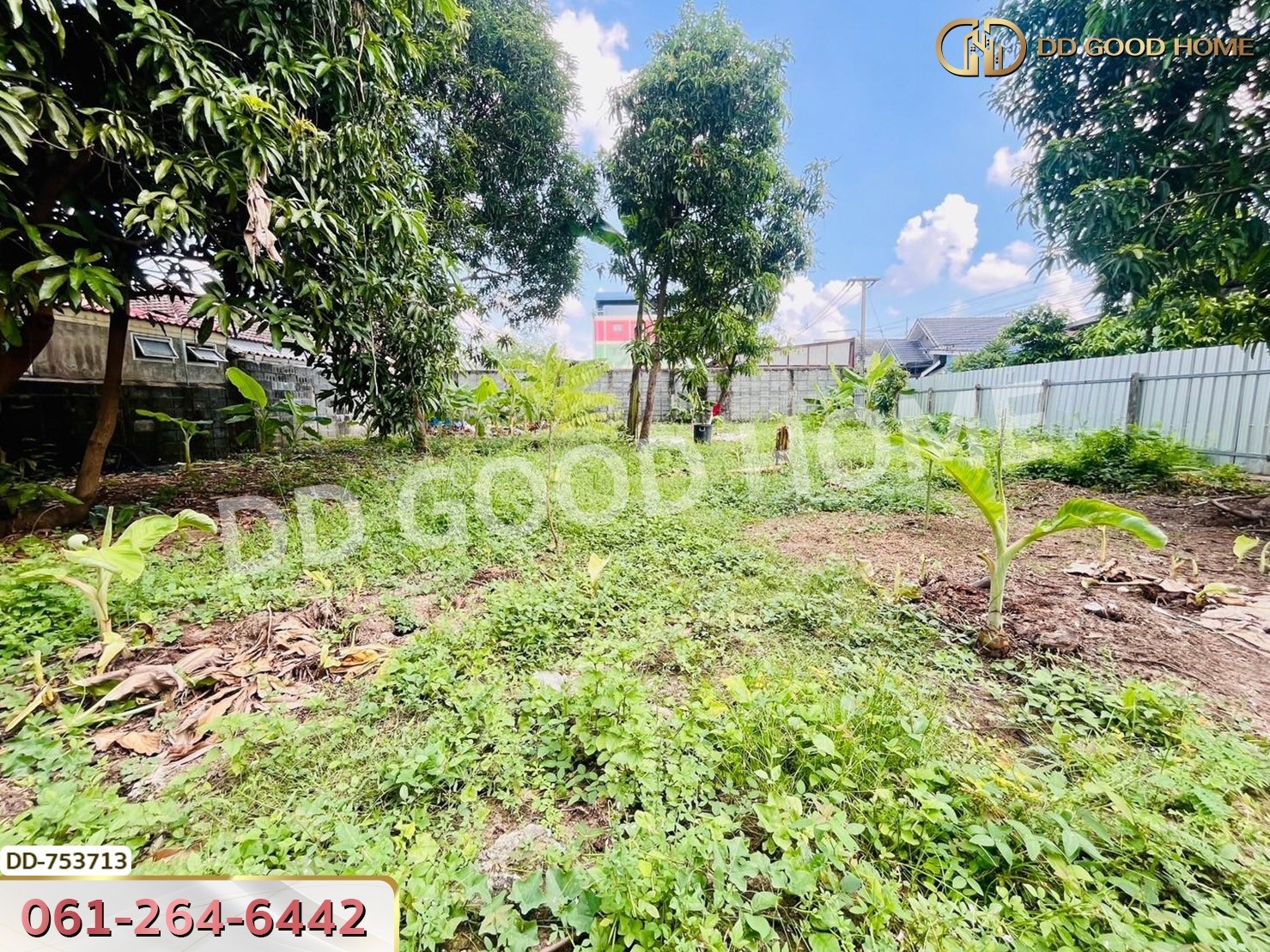 ที่ดินลำลูกกา 100 ตร.ว. ปทุมธานี ใกล้ตลาดเอซี (เช่า)