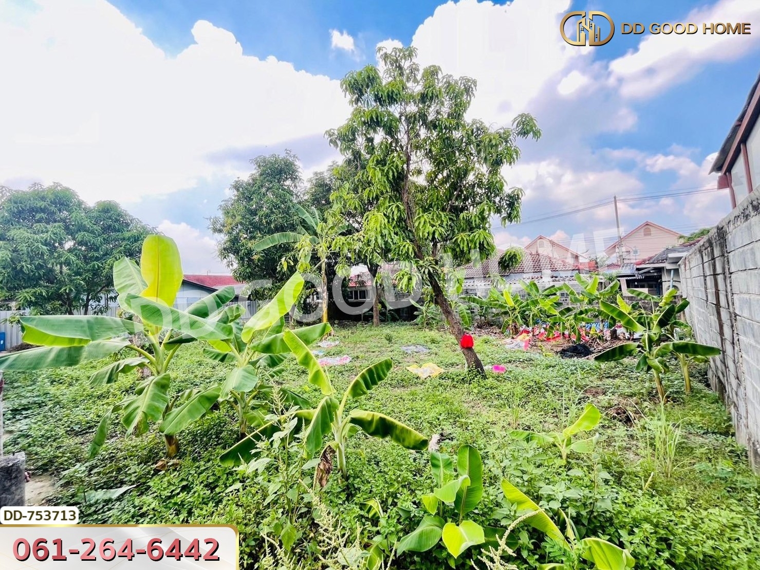 ที่ดินลำลูกกา 100 ตร.ว. ปทุมธานี ใกล้ตลาดเอซี (เช่า)