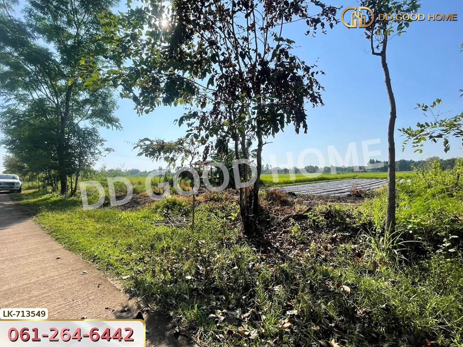 ที่ดินพรรณานิคม 6 ไร่ 231 ตร.ว. สกลนคร ใกล้ศูนย์เรียนรู้ย้อมครามบ้านดอนกอย