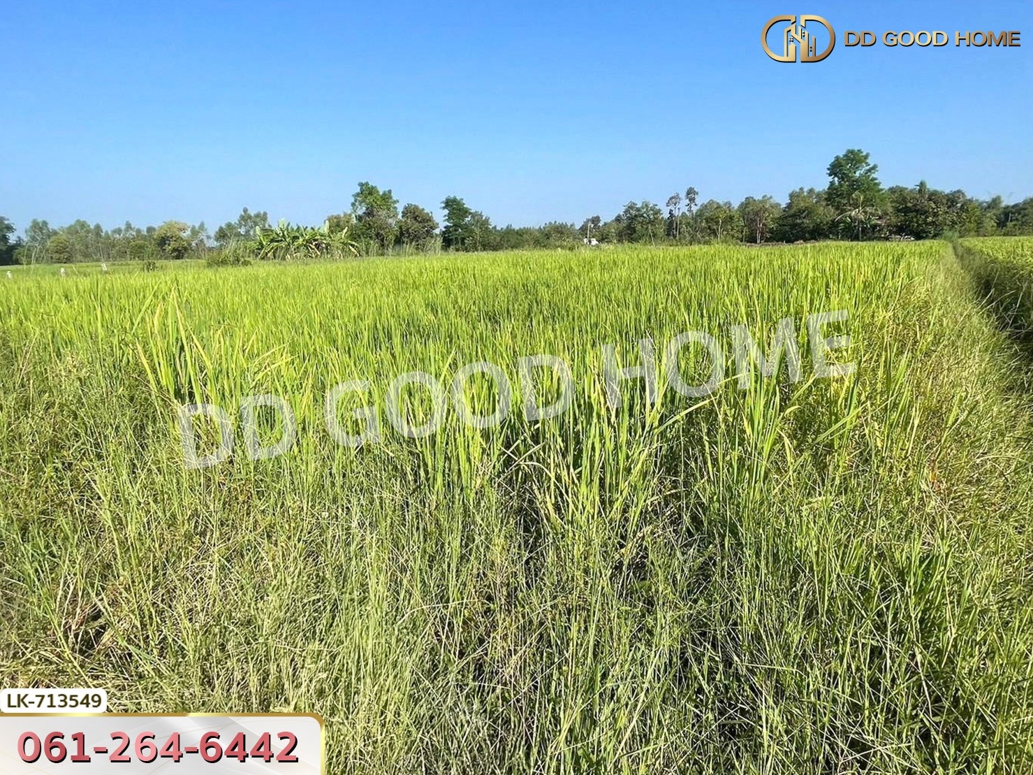 ที่ดินพรรณานิคม 6 ไร่ 231 ตร.ว. สกลนคร ใกล้ศูนย์เรียนรู้ย้อมครามบ้านดอนกอย