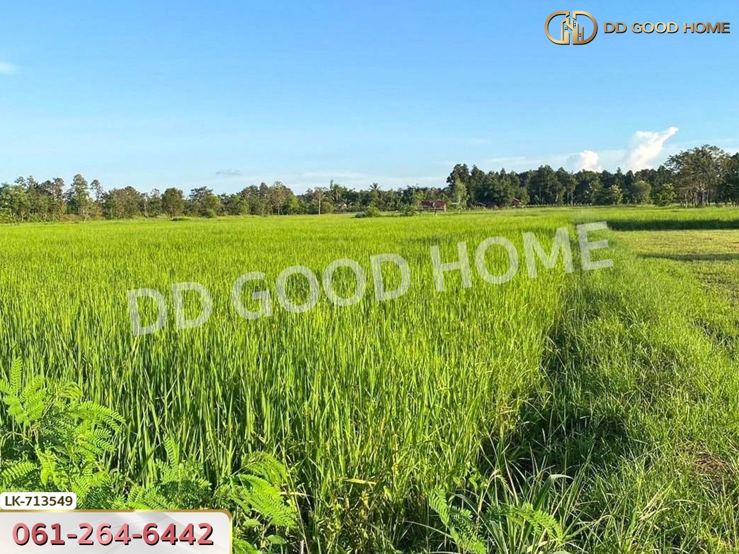 ที่ดินพรรณานิคม 6 ไร่ 231 ตร.ว. สกลนคร ใกล้ศูนย์เรียนรู้ย้อมครามบ้านดอนกอย