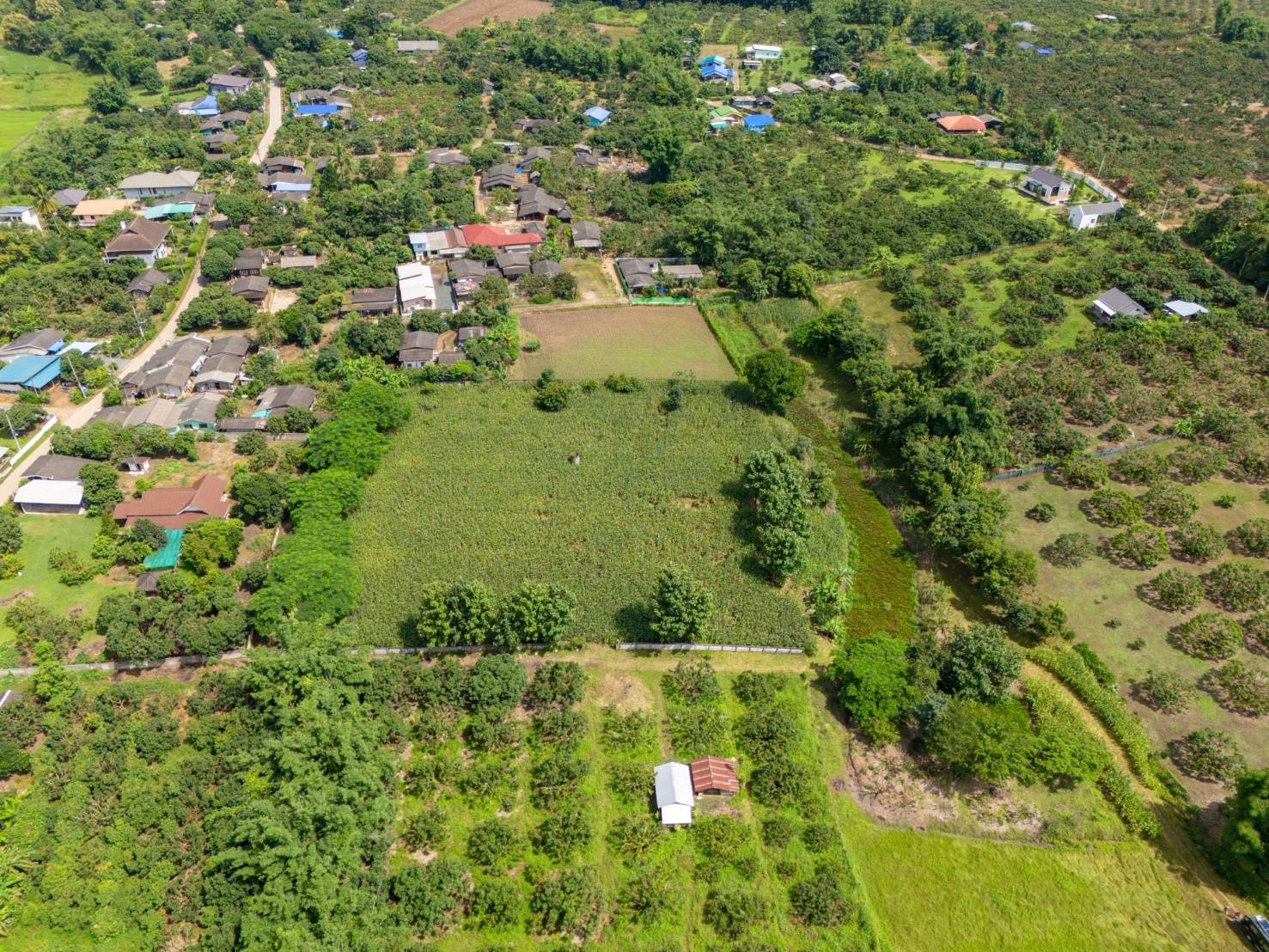 ขายทำเลทอง วิวทิวทัศน์อันงดงาม ใจกลางเชียงดาว จ.เชียงใหม่