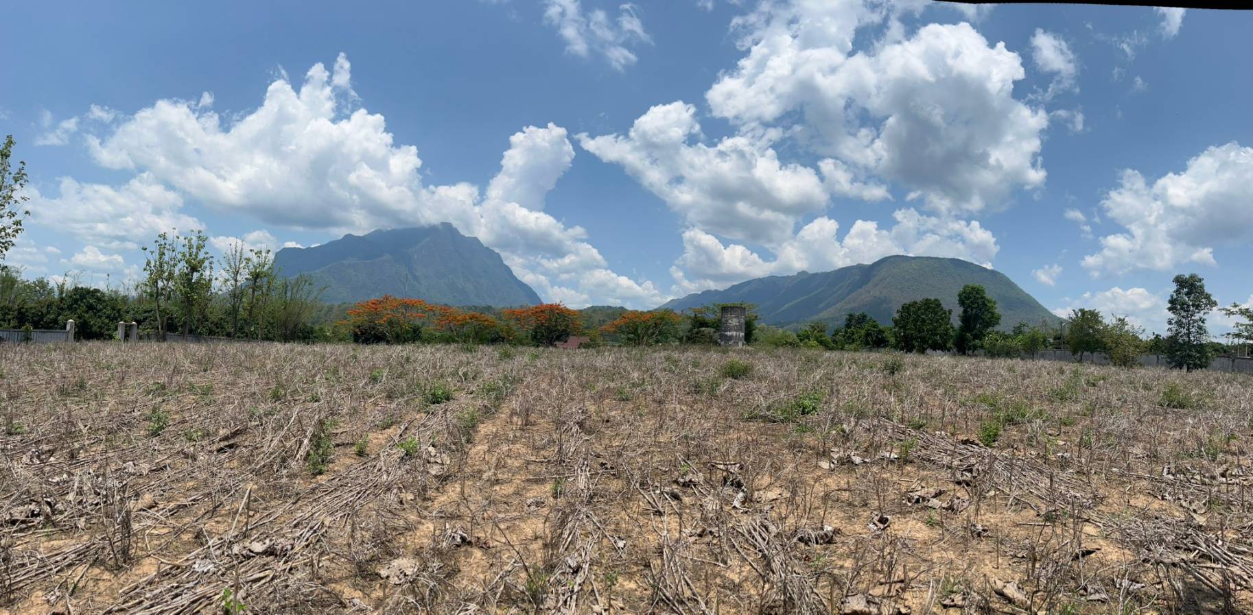 ขายทำเลทอง วิวทิวทัศน์อันงดงาม ใจกลางเชียงดาว จ.เชียงใหม่