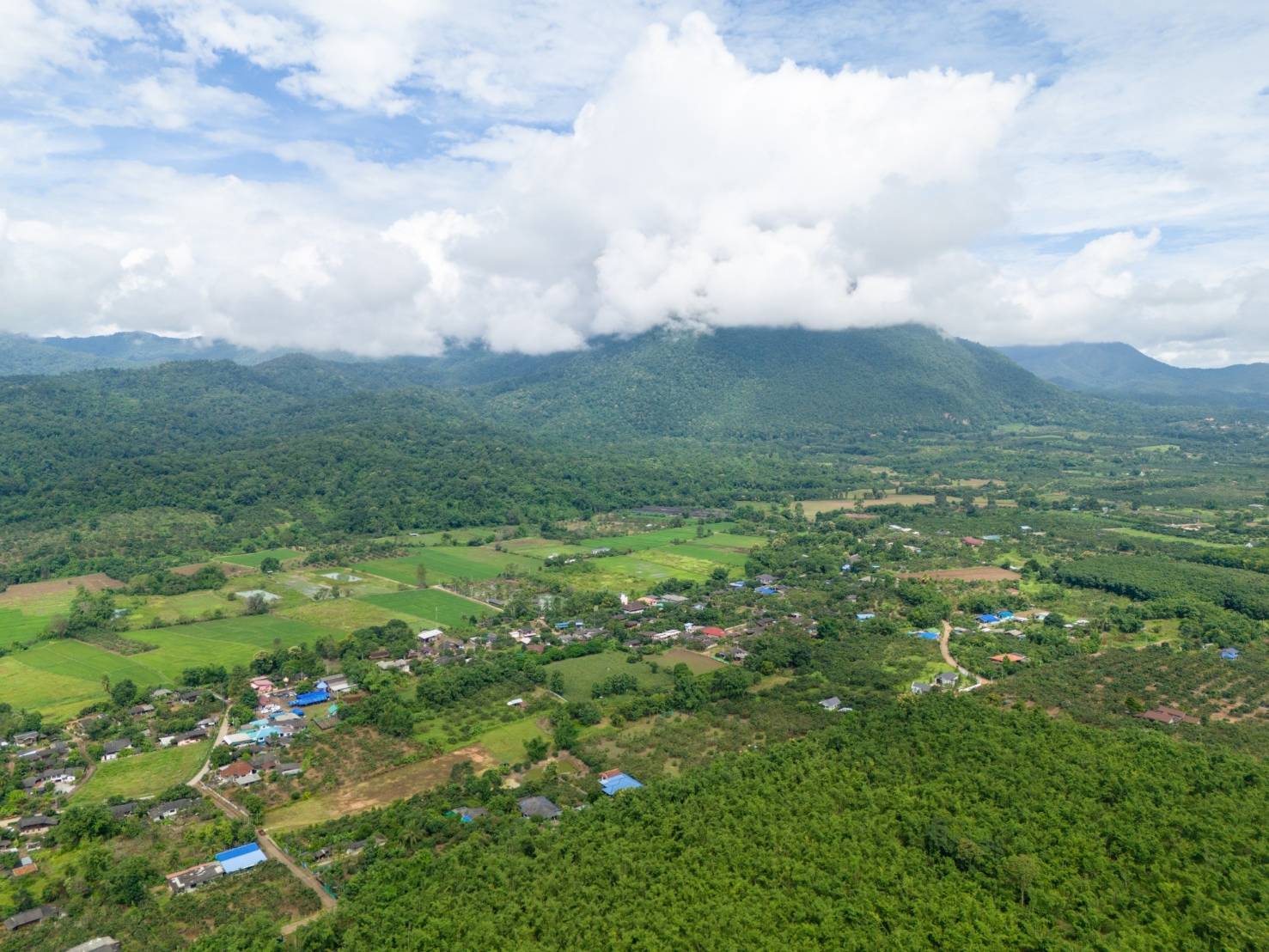 ขายทำเลทอง วิวทิวทัศน์อันงดงาม ใจกลางเชียงดาว จ.เชียงใหม่