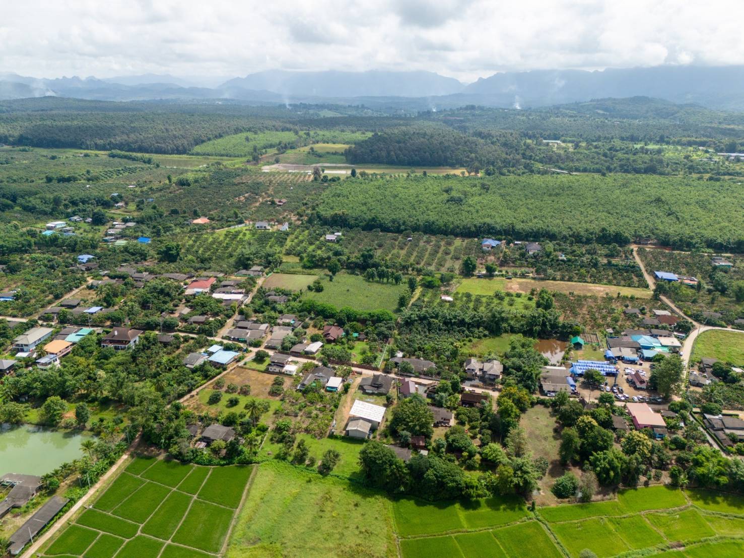 ขายทำเลทอง วิวทิวทัศน์อันงดงาม ใจกลางเชียงดาว จ.เชียงใหม่