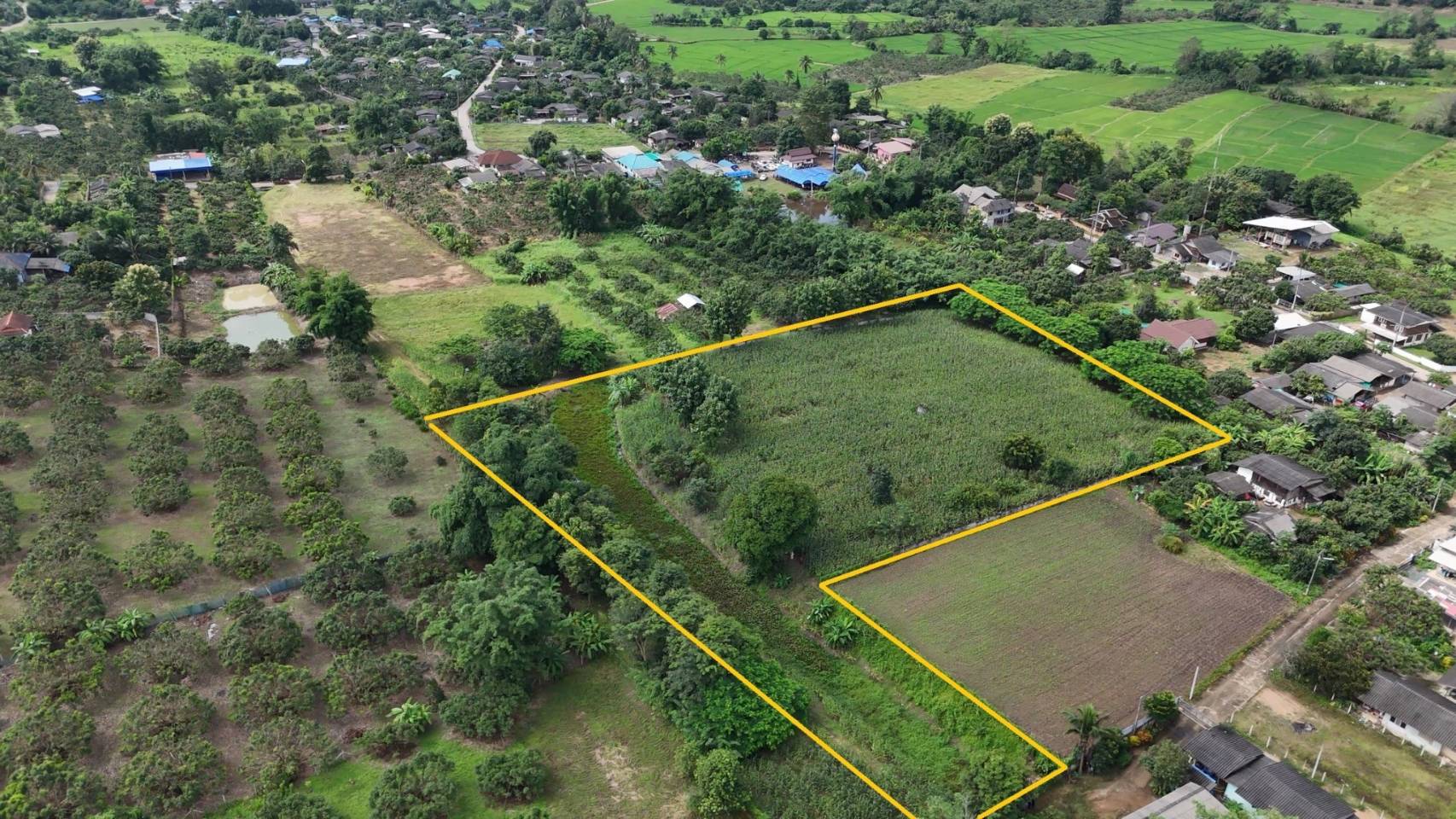 ขายทำเลทอง วิวทิวทัศน์อันงดงาม ใจกลางเชียงดาว จ.เชียงใหม่