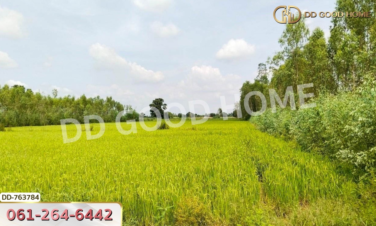 ที่ดินขาณุวรลักษณ์บุรี 20 ไร่ กำแพงเพชร ใกล้ อบต.โค้งไผ่