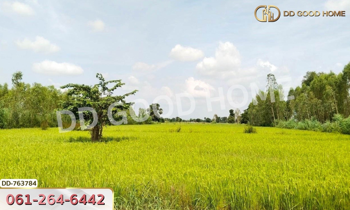 ที่ดินขาณุวรลักษณ์บุรี 20 ไร่ กำแพงเพชร ใกล้ อบต.โค้งไผ่