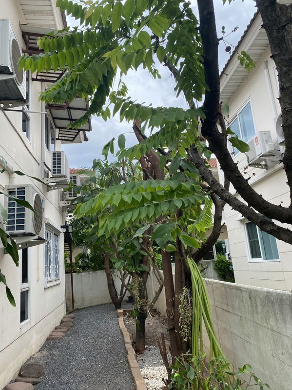 ขายบ้านสวย โครงการดี ที่สุดแห่งทำเลที่เหนือกว่า ราคาคุ้มค่าเหมาะสม