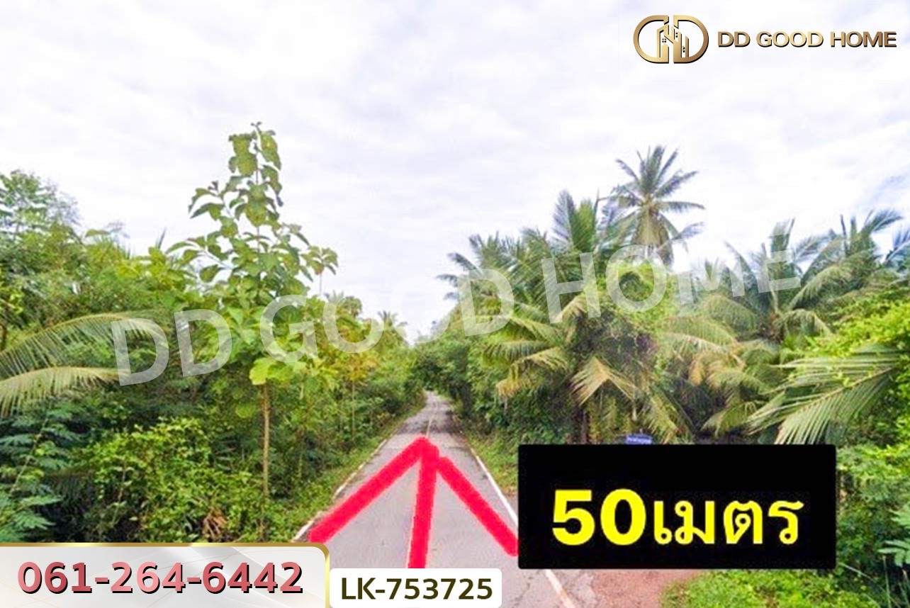 ที่ดินเมืองสมุทรสงคราม 300 ตร.ว. ใกล้วัดนางตะเคียน