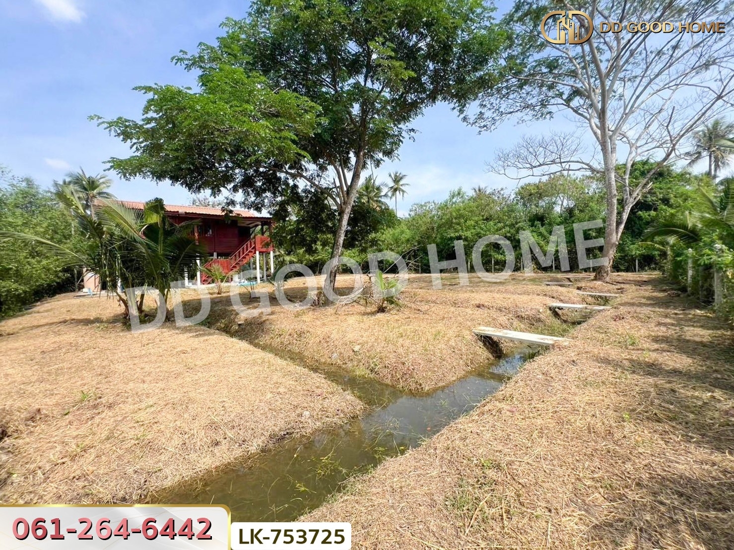 ที่ดินเมืองสมุทรสงคราม 300 ตร.ว. ใกล้วัดนางตะเคียน