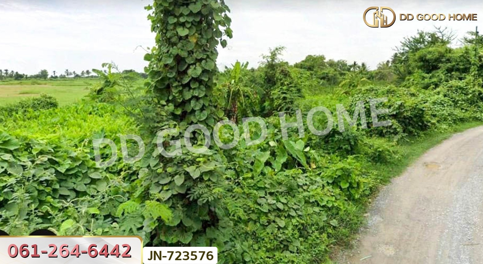 ที่ดินเมืองนครปฐม 2 ไร่ 203.4 ตร.ว ใกล้เซ็นทรัลนครปฐม