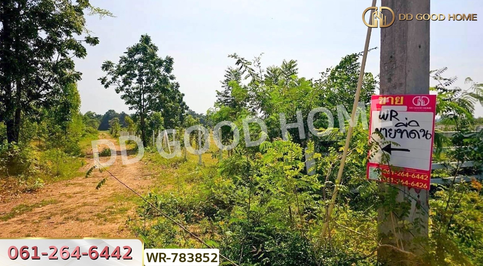ที่ดินเมืองราชบุรี 9 ไร่ 125 ตร.ว. ใกล้เขางู