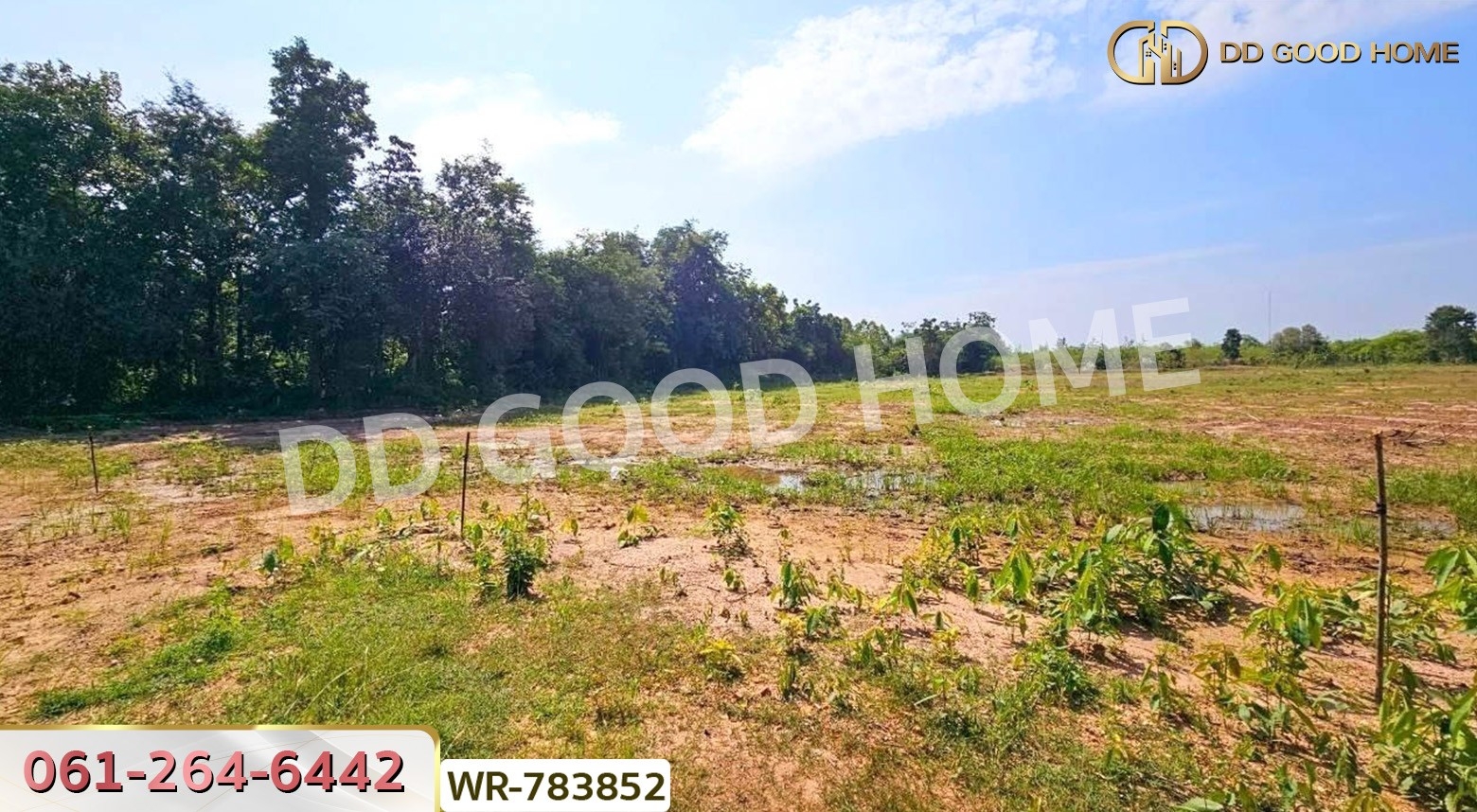 ที่ดินเมืองราชบุรี 9 ไร่ 125 ตร.ว. ใกล้เขางู