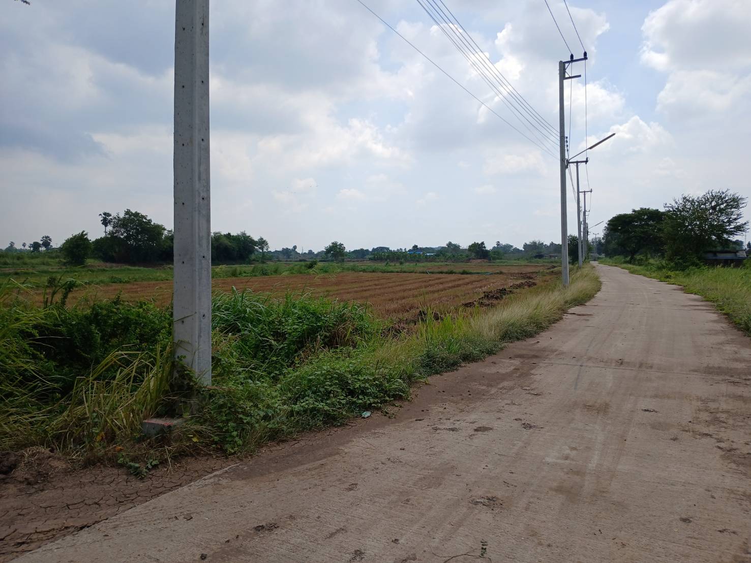 ขายที่ดินเปล่า 2เเปลง ติดกัน ทำเลทอง  อำเภอเมืองอ่างทอง จังหวัดอ่างทอง