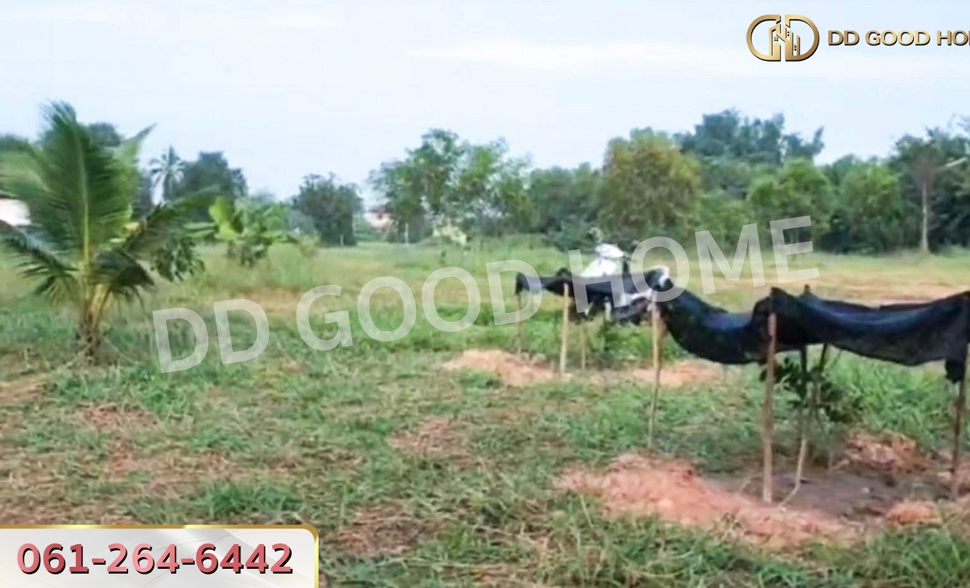 ที่ดินพนมสารคาม 2 ไร่ 220 ตร.ว. ฉะเชิงเทรา ใกล้วัดเกาะแก้วสุวรรณาราม