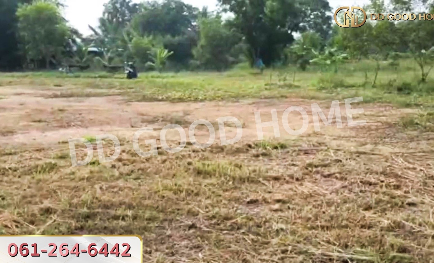 ที่ดินพนมสารคาม 2 ไร่ 220 ตร.ว. ฉะเชิงเทรา ใกล้วัดเกาะแก้วสุวรรณาราม