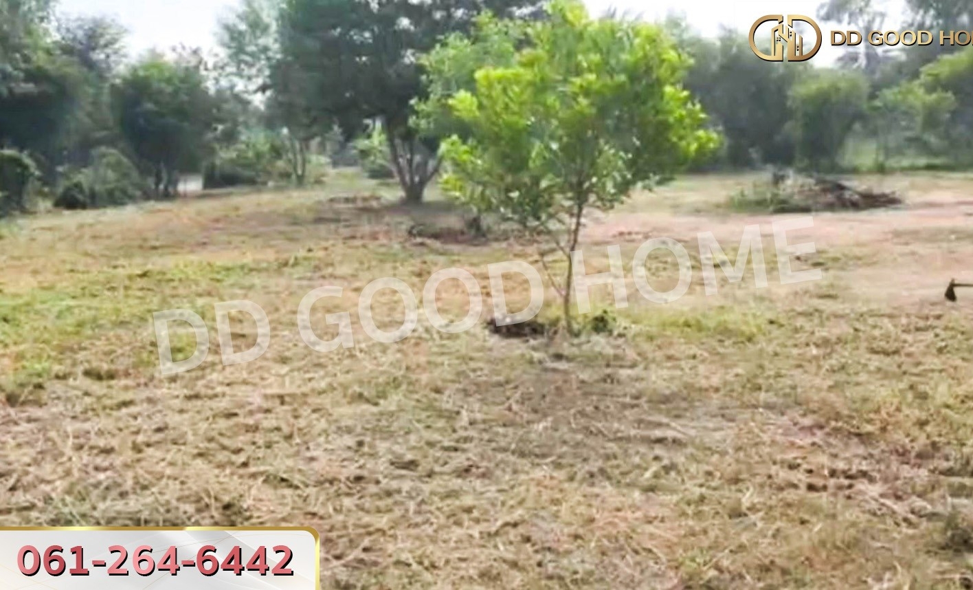 ที่ดินพนมสารคาม 2 ไร่ 220 ตร.ว. ฉะเชิงเทรา ใกล้วัดเกาะแก้วสุวรรณาราม