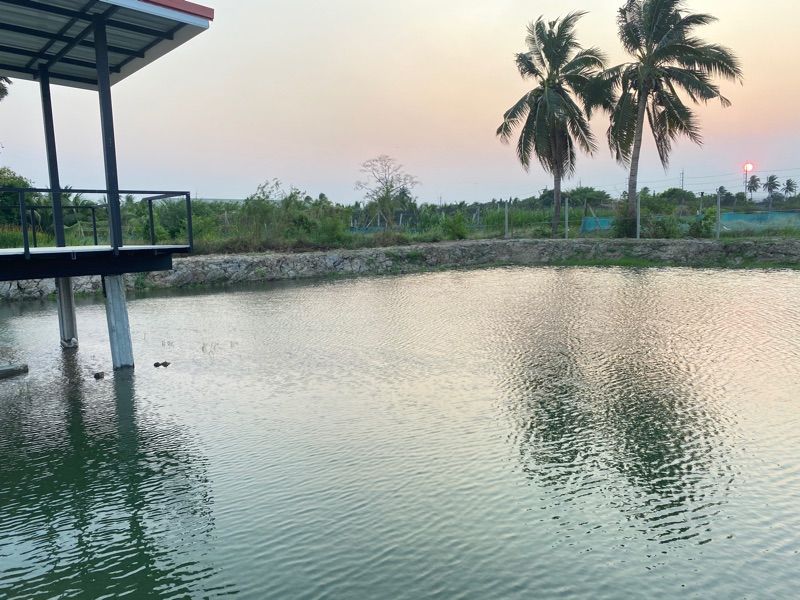 ขายที่ดินเปล่า 1ไร่ 2 งาน 64 ตารางวา เหมาะสำหรับทำโครงการบ้านจัดสรร หรือสำหรับที่อยู่อาศัย อำเภอบ้านโป่ง จังหวัดราชบุรี