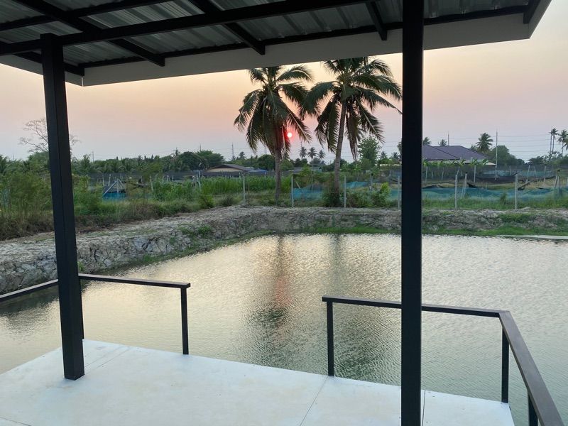 ขายที่ดินเปล่า 1ไร่ 2 งาน 64 ตารางวา เหมาะสำหรับทำโครงการบ้านจัดสรร หรือสำหรับที่อยู่อาศัย อำเภอบ้านโป่ง จังหวัดราชบุรี