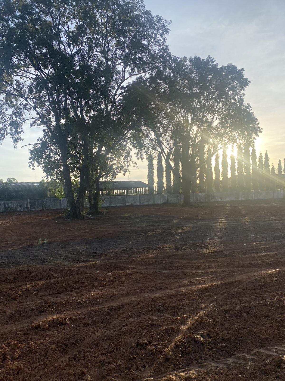 ขายที่ดิน ทำเลดี ถมแล้ว ติดถนนใหญ่  อำเภอประจันตคาม จังหวัดปราจีนบุรี (เจ้าของขายเอง)