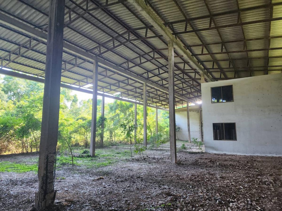 ขายที่ดิน ทำเลดี ถมแล้ว ติดถนนใหญ่  อำเภอประจันตคาม จังหวัดปราจีนบุรี (เจ้าของขายเอง)