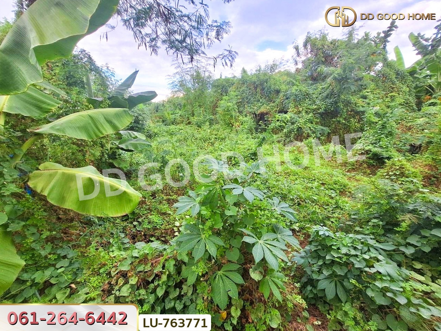 ที่ดินหมู่บ้านปั้นทอง 3 30 ตร.ว. บางเขน ใกล้เซ็นทรัลรามอินทรา