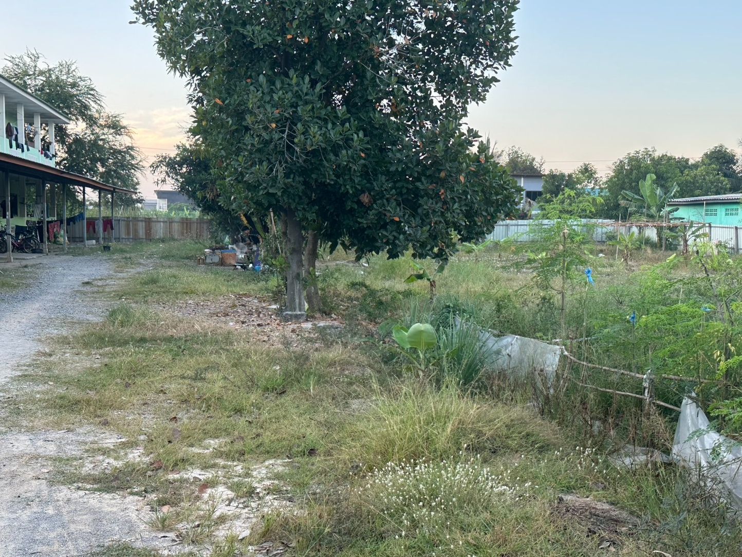 ขายที่ดินทำเลดีพร้อมห้องเช่า 20 ห้อง อ.ลาดหลุมแก้ว จ.ปทุมธานี