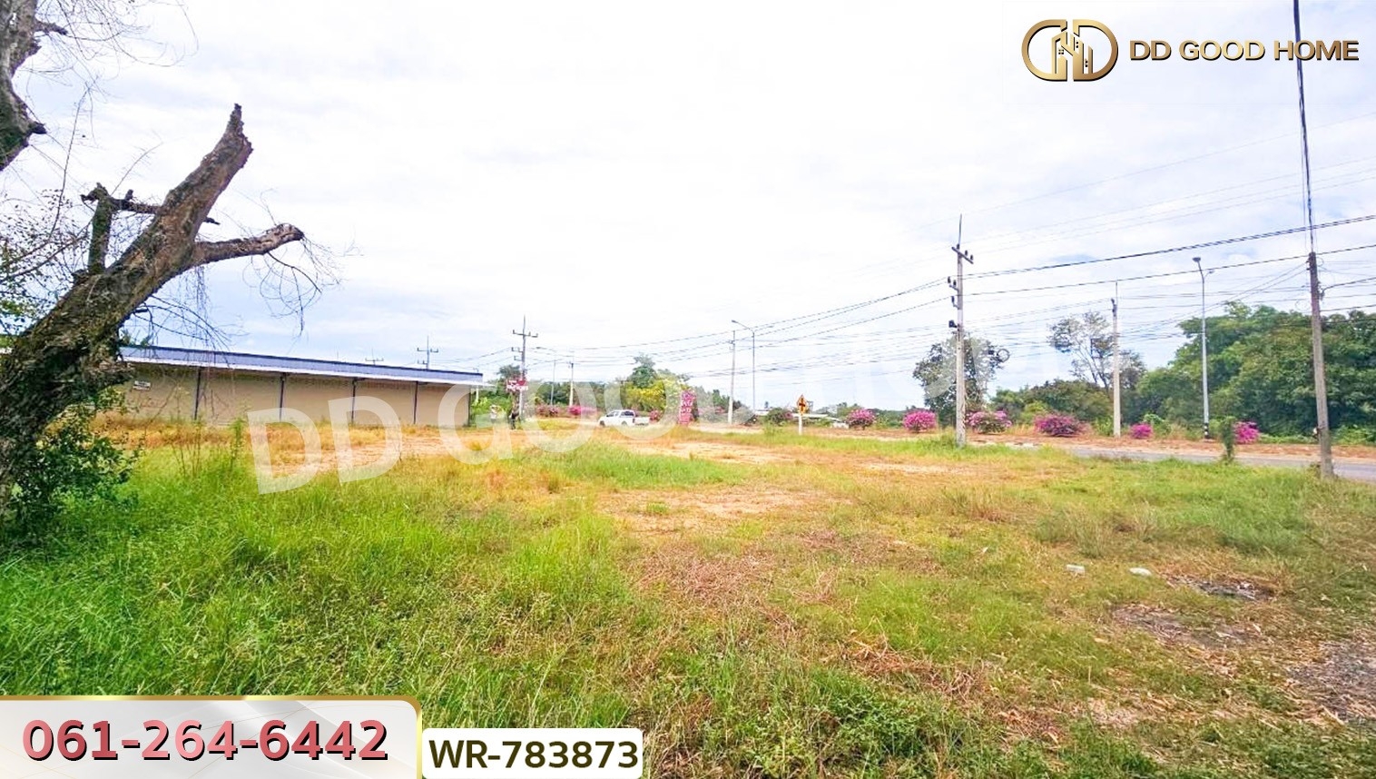 ที่ดินบ้านพริก 1 ไร่ 202.2 ตร.ว. นครนายก ใกล้ อบต. บ้านพริก