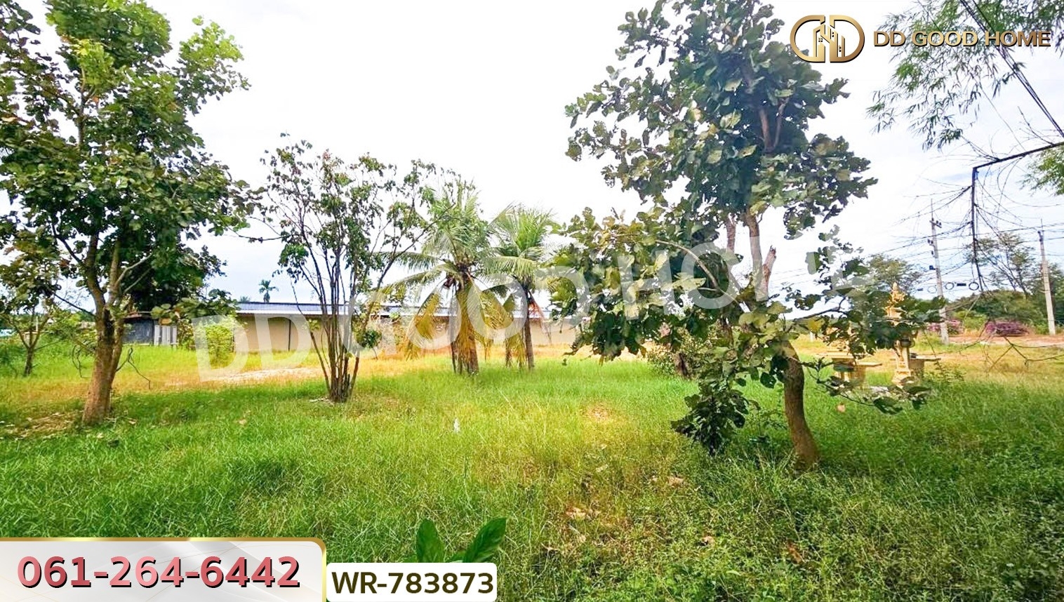 ที่ดินบ้านพริก 1 ไร่ 202.2 ตร.ว. นครนายก ใกล้ อบต. บ้านพริก