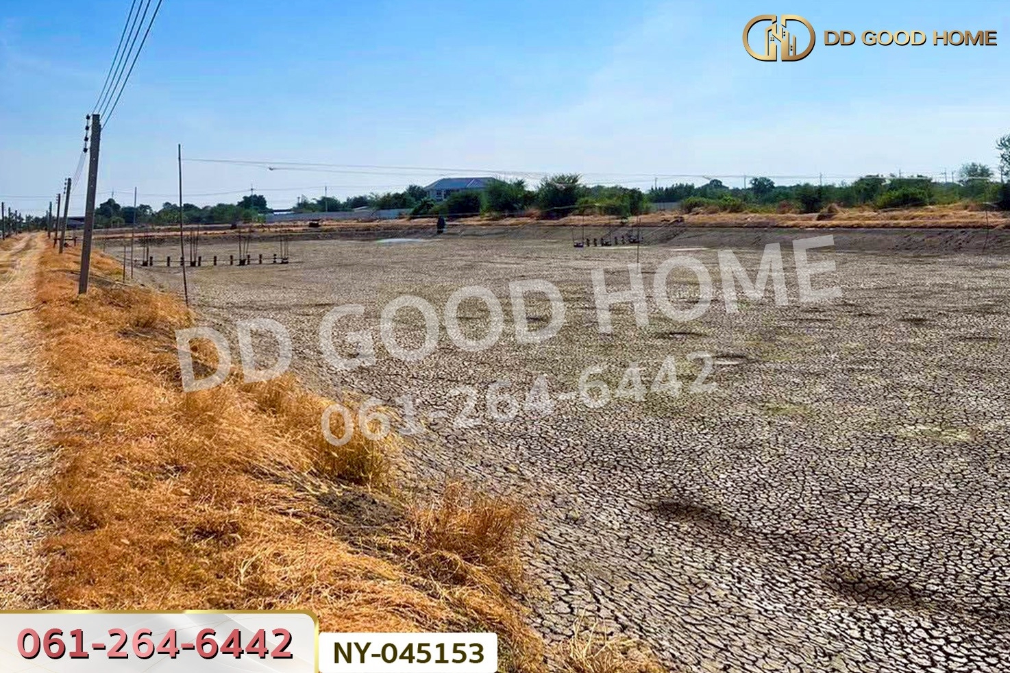 ที่ดินบางปะกง 9 ไร่ 287 ตร.ว. ฉะเชิงเทรา ใกล้โรงเรียนแสมขาววิทยาคาร NY-045153