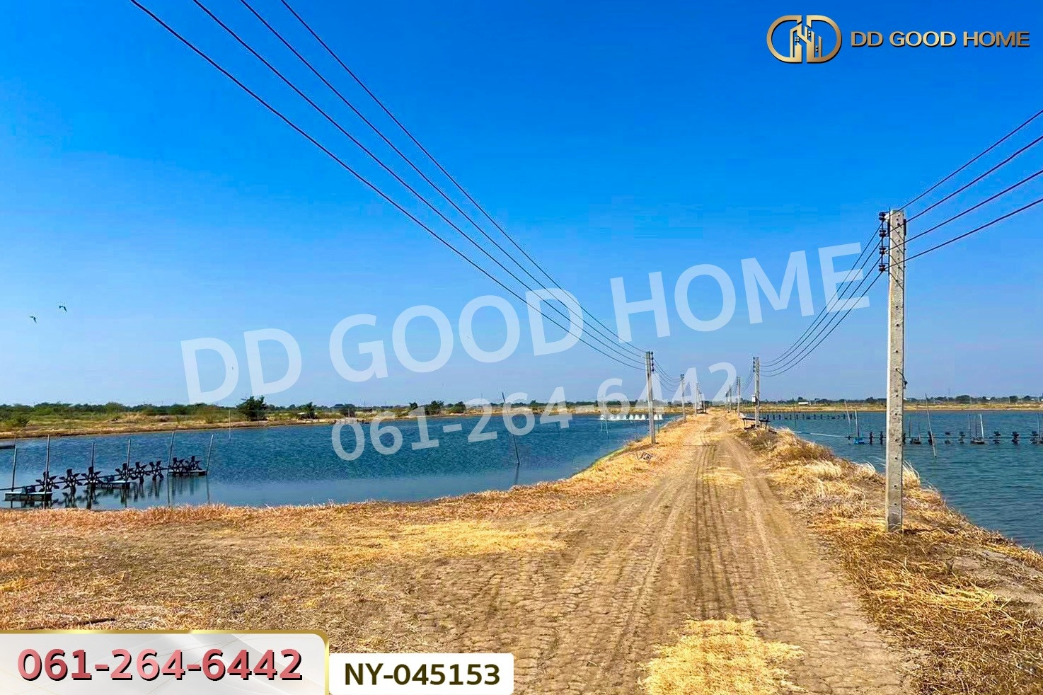 ที่ดินบางปะกง 9 ไร่ 287 ตร.ว. ฉะเชิงเทรา ใกล้โรงเรียนแสมขาววิทยาคาร NY-045153