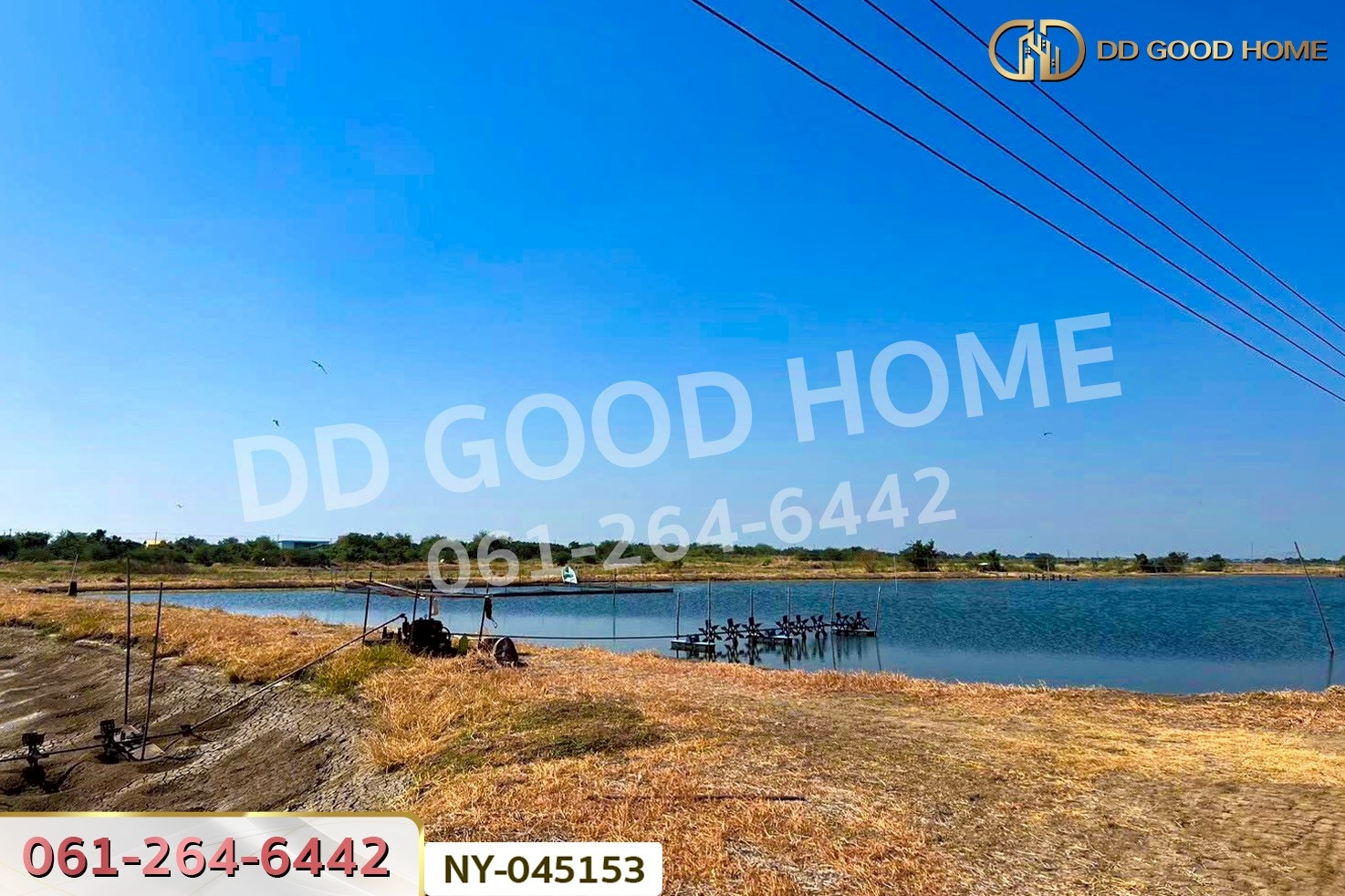 ที่ดินบางปะกง 9 ไร่ 287 ตร.ว. ฉะเชิงเทรา ใกล้โรงเรียนแสมขาววิทยาคาร NY-045153