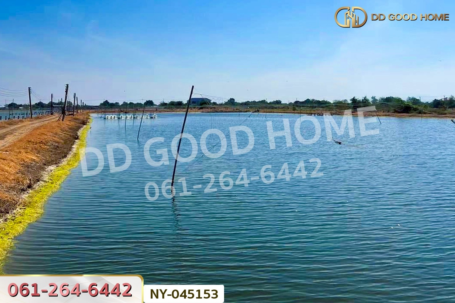 ที่ดินบางปะกง 9 ไร่ 287 ตร.ว. ฉะเชิงเทรา ใกล้โรงเรียนแสมขาววิทยาคาร NY-045153