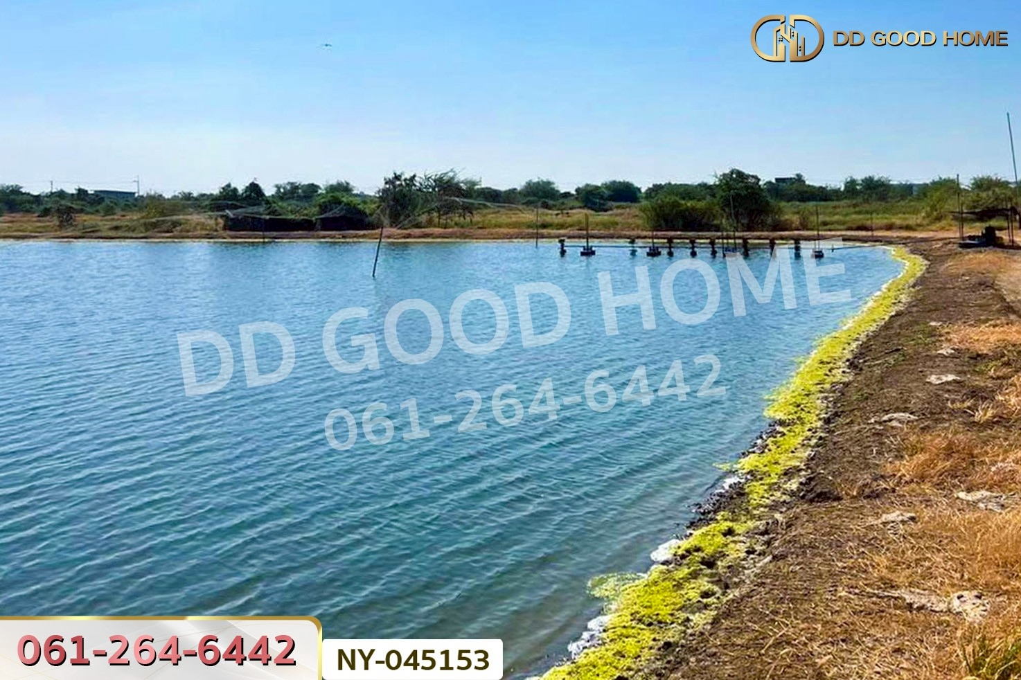 ที่ดินบางปะกง 9 ไร่ 287 ตร.ว. ฉะเชิงเทรา ใกล้โรงเรียนแสมขาววิทยาคาร NY-045153